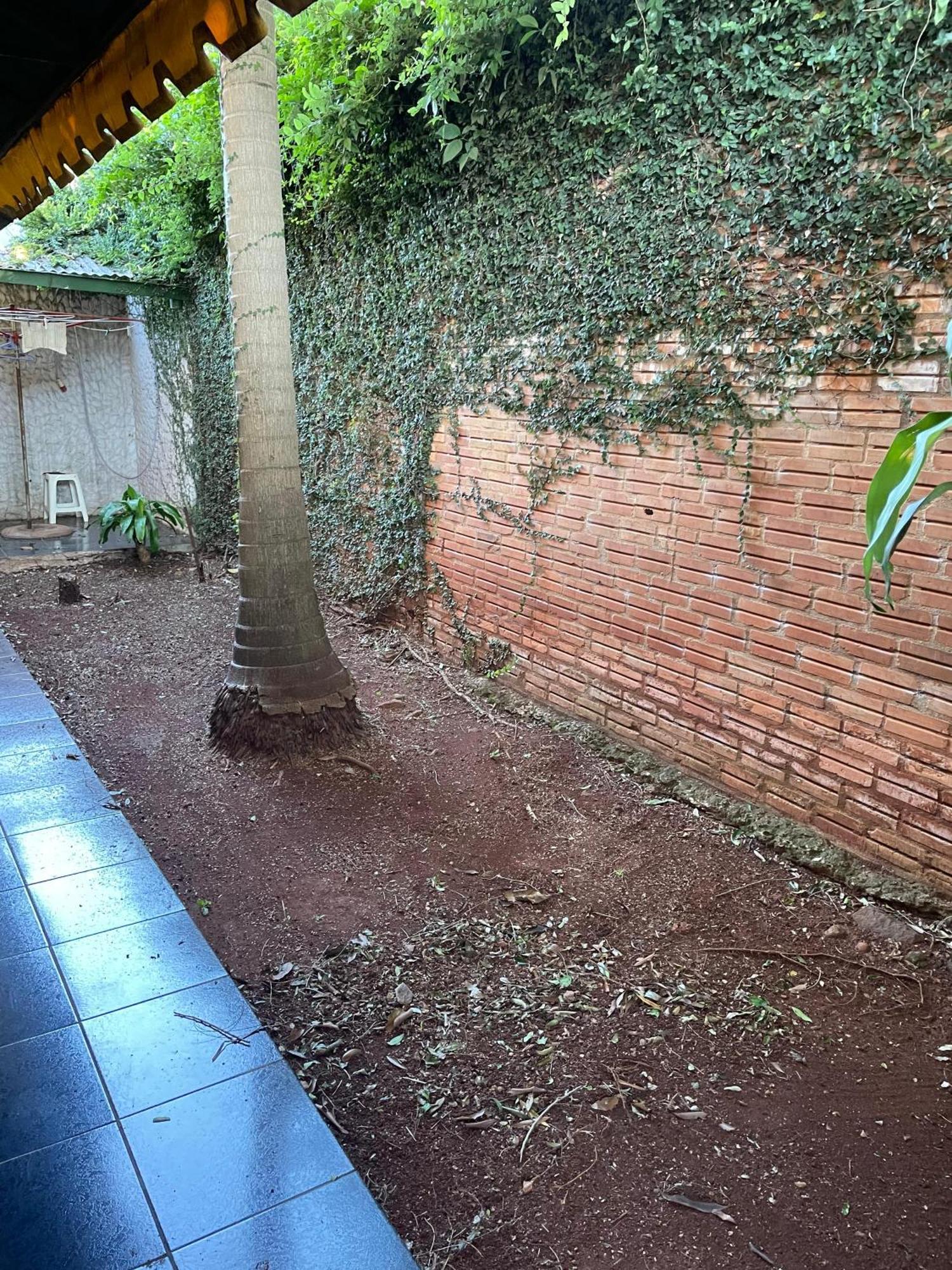 ¡Tucanes Iguazu! Puerto Iguazú Dış mekan fotoğraf